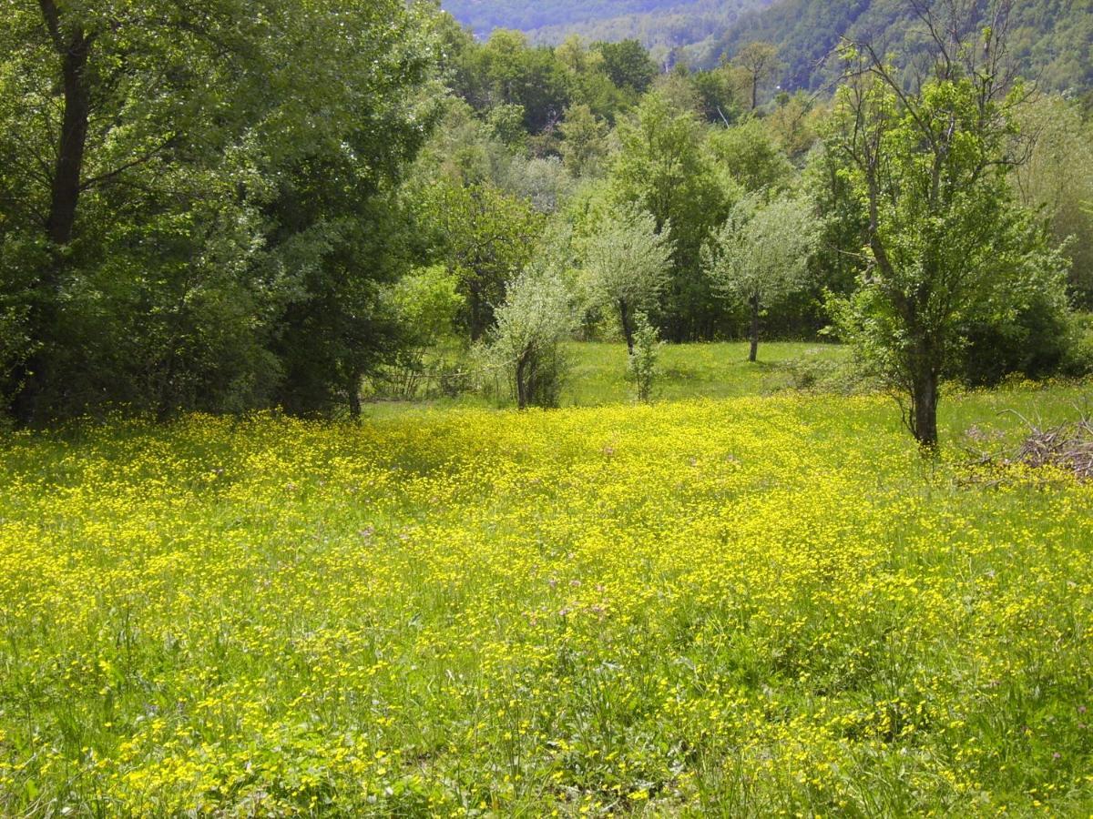 B&B Podere Bramapane Montelungo Superiore エクステリア 写真